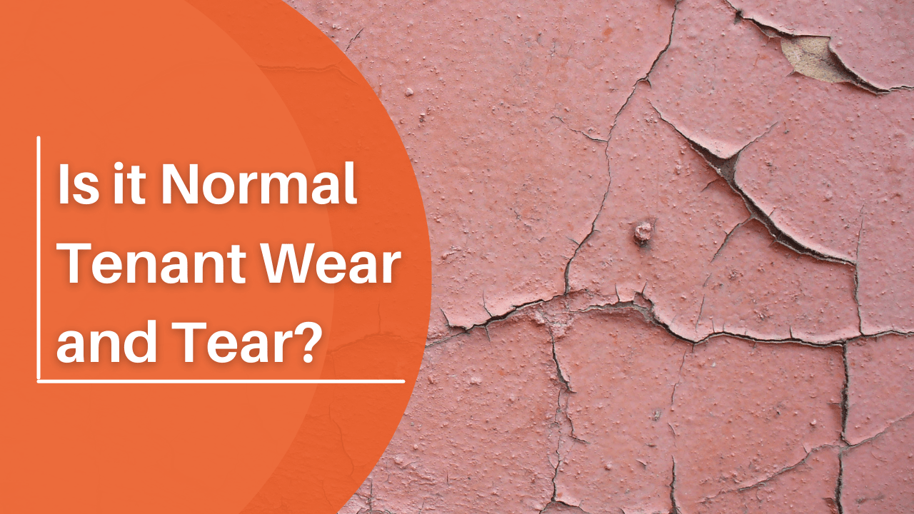 Is it Normal Tenant Wear and Tear?